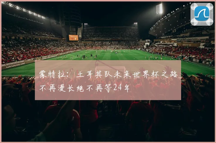 蒙特拉：土耳其队未来世界杯之路不再漫长绝不再等24年