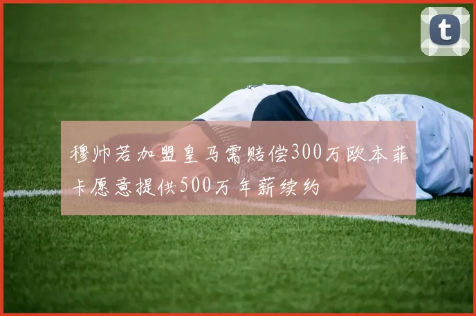 穆帅若加盟皇马需赔偿300万欧本菲卡愿意提供500万年薪续约