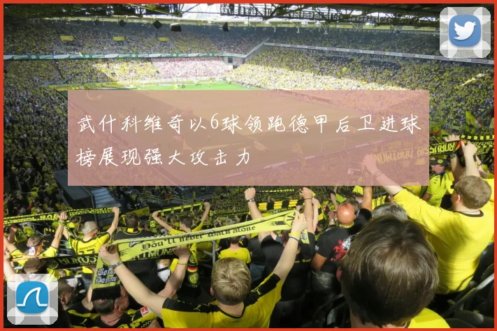 武什科维奇以6球领跑德甲后卫进球榜展现强大攻击力